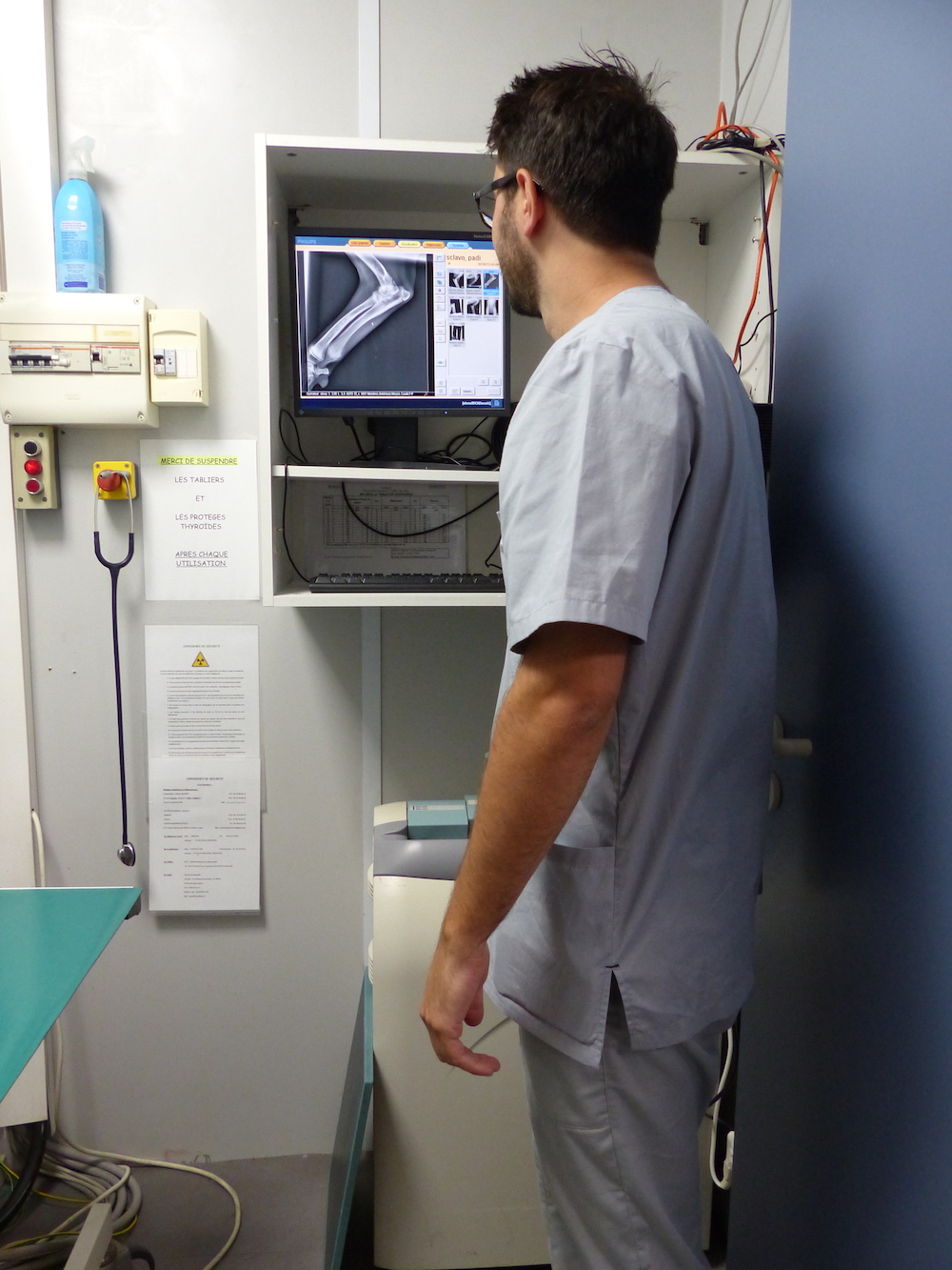 Vétérinaire Nice - Clinique Nicea Du Dr.lisbonne