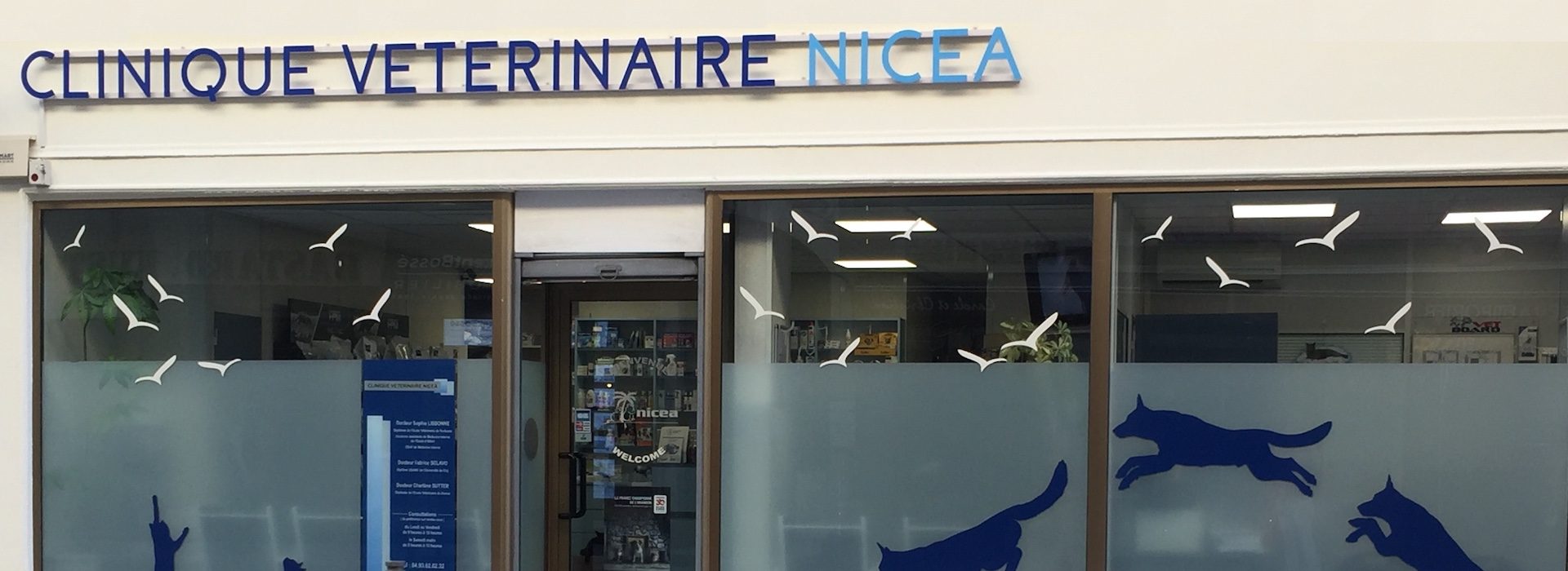 Clinique Vétérinaire Nicea à nice